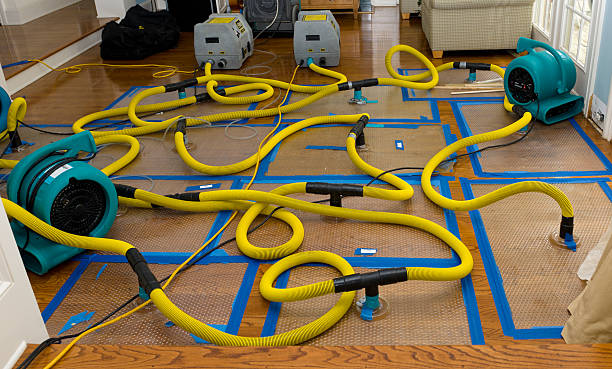 Professional Crawl Space Water Removal technician working in Wanchese, NC